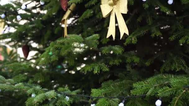 Arco dorado brillante decorando el árbol de Navidad. — Vídeos de Stock