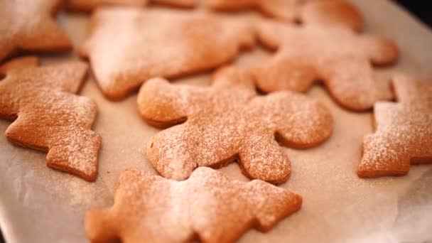 ジンジャーブレッドクッキーのクローズアップは、粉砂糖を振りかけた. — ストック動画