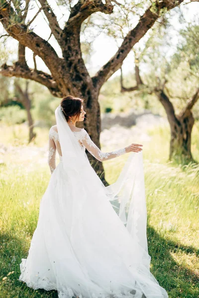 Gyönyörű menyasszony gyengéd esküvői ruha hosszú menyasszonyi fátyol az olajfa ligetben — Stock Fotó