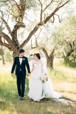 Gelin ve damat zeytinlikte birlikte yürüyor, birbirlerine bakıyor ve el ele tutuşuyorlar.