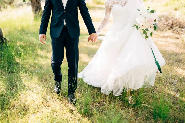 Braut und Bräutigam gehen gemeinsam im Olivenhain und halten Händchen — Stockfoto