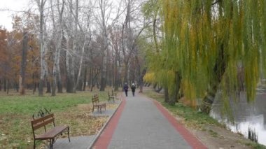 Banklar boyunca parkta uzun bir ara sokak ve sahilde ağaçlarla dolu bir gölet..