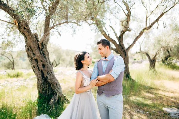 Mariée et marié dans l'oliveraie, se regardant — Photo