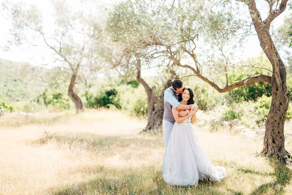 A vőlegény gyengéden átöleli a menyasszonyt hátulról az olajfaligetben, a vőlegény megcsókolja a menyasszonyt. — Stock Fotó