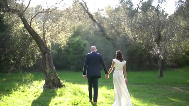 Vue arrière du marié et de la mariée marchant main dans la main à travers l'oliveraie — Video