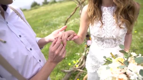 The groom puts the ring on the brides finger — Stock Video