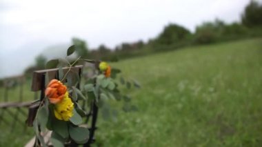 Düğün yeri, sarı ve turuncu çiçeklerle süslenmiş sandalyeler.