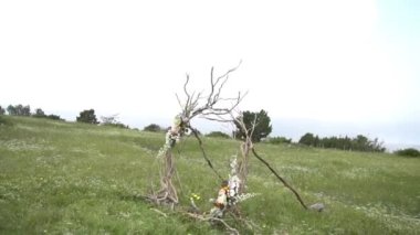 düğün kemeri dallar ve çiçeklerle süslenmiş.