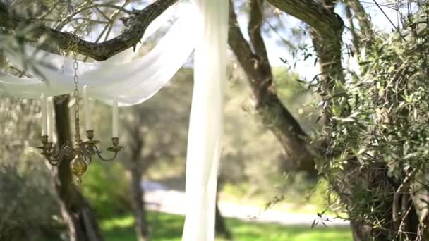 Candelabro y lienzos blancos de tela aireada sobre ramas de olivo en el bosque, decoraciones de bodas — Vídeos de Stock