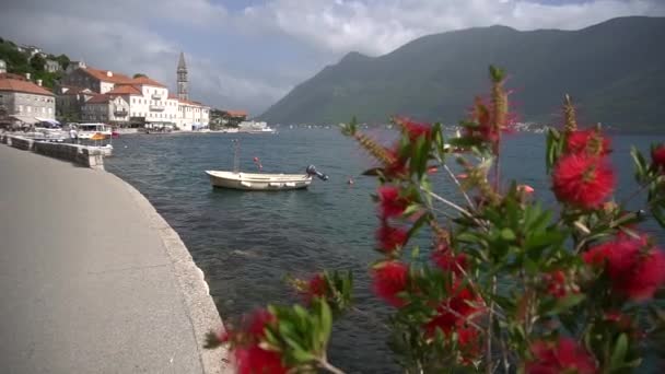 Λευκά σκάφη κοντά στην ακτή του Perast, φωτεινό ροζ callistemon στο προσκήνιο — Αρχείο Βίντεο