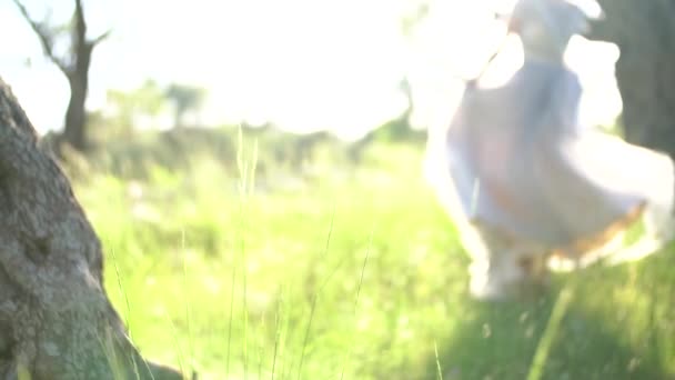 Невеста кружится на траве, пушистые юбки ее платья трепещут — стоковое видео