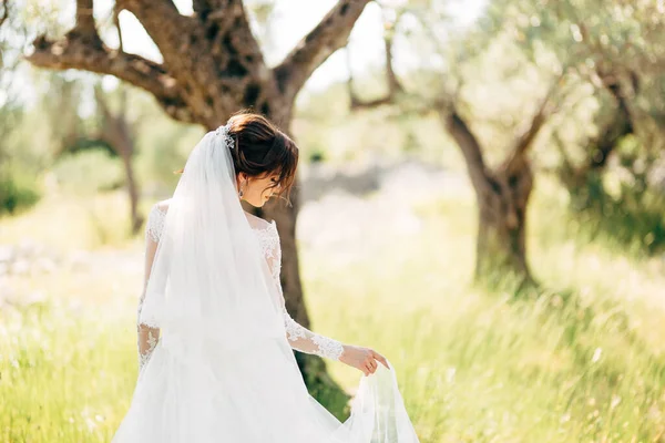 Piękna panna młoda w delikatnej sukni ślubnej z długim welonem ślubnym w gaju oliwnym — Zdjęcie stockowe