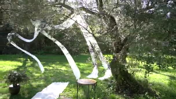 Κηροπήγιο και λευκό καμβάδες από ευάερο ύφασμα σε κλαδιά ελιάς στο άλσος, διακόσμηση γάμου — Αρχείο Βίντεο