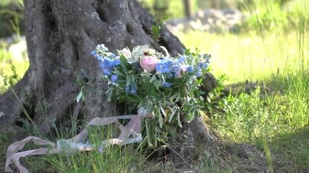 Название: Букет невесты лежит у корней оливкового дерева в роще — стоковое видео
