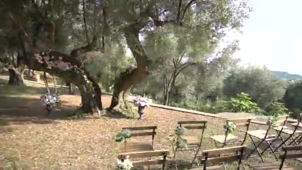 Sala weselna w gaju oliwnym z ozdobionymi drzewami, kwiatami, bukietami i krzesłami — Wideo stockowe