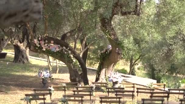 Zeytin koruluğunda düğün yeri dekore edilmiş ağaçlar, çiçekler buketler ve sandalyeler. — Stok video