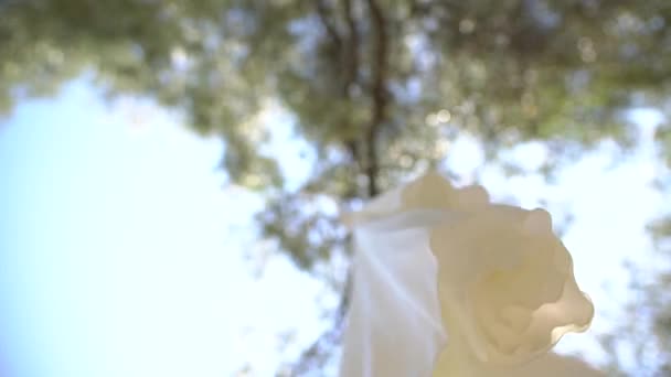 Vestido de novia de seda colgando de ramas de árbol entre el follaje, vista inferior — Vídeos de Stock