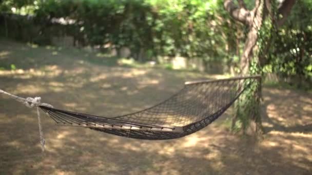 An empty hammock stretched on tree branches in the middle of a cozy grove — Stock Video