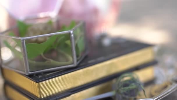 Caja de joyería de vidrio con una ramita de hiedra y flor, un libro con borde delantero de oro y anillos de boda en una bandeja brillante — Vídeo de stock