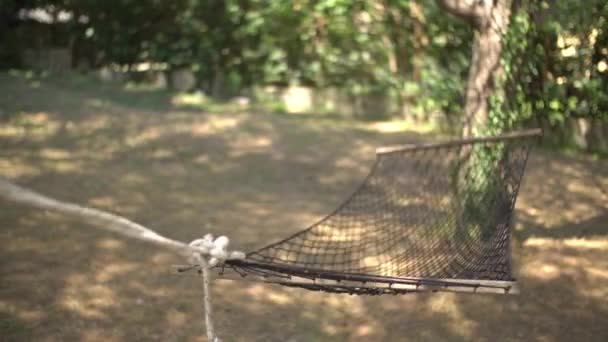 Uma rede vazia esticada em galhos de árvores no meio de um bosque acolhedor — Vídeo de Stock