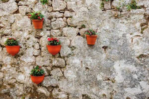 Flower pots with indoor flowers on a stone wall.