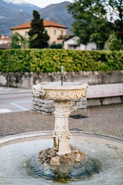 Un cuenco de una fuente con agua sobre losas de pavimentación sobre el telón de fondo de árboles y casas. Fuente de bebida antigua para pájaros en un parque de la ciudad en el Lago de Como en Italia. — Foto de Stock