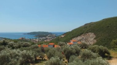 Karadağ 'daki kıyı adaları ve zeytin ağaçlarının yukarıdan görünüşü