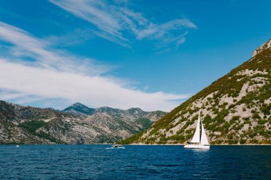 Beyaz bir yelkenli Kotor Körfezi 'nin sularında yüzüyor. Dağların ve mavi gökyüzünün arka planında..