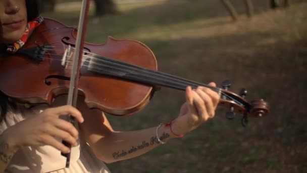 Meisje speelt viool in de middag in de zon, close-up — Stockvideo