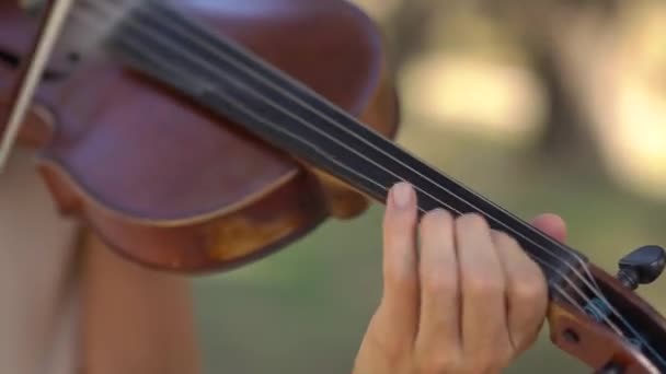 Fille joue du violon dans l'après-midi au soleil, gros plan — Video