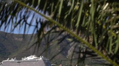 Kotor Körfezi 'nin ortasında büyük bir yolcu gemisi yelken açar. Öndeki palmiye dalları yemyeşildir.