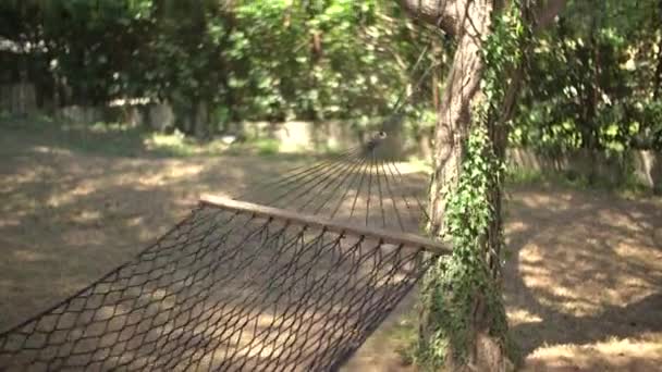 Пустой гамак, растянутый на ветвях деревьев посреди уютной рощи — стоковое видео