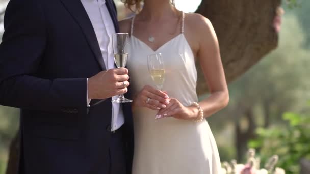 Państwo młodzi stoją obok siebie i trzymają kieliszki szampana w dłoniach. — Wideo stockowe