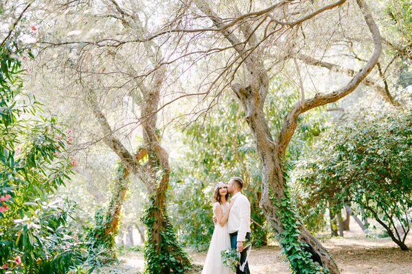 The bride and groom are hugging among picturesque trees covered with ivy in the park, the groom kissing the bride and holding the bouquet
