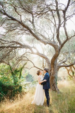 Gelin ve damat, zeytin koruluğundaki güzel bir zeytin ağacının yanında sarılır. 