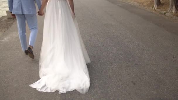 Η νύφη και ο γαμπρός περπατούν δίπλα-δίπλα κρατώντας τα χέρια, πίσω όψη — Αρχείο Βίντεο