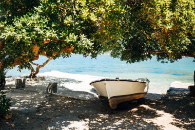 Güneşli bir günde, ağaçların dallarının altındaki gölgede kıyıda bir balıkçı teknesi.