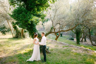 Gelin ve damat zeytin korusunda sarmaşıkla kaplı resim ağacının yanında el ele tutuşuyorlar.