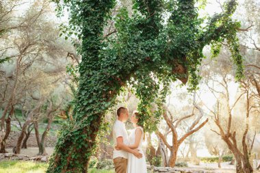 Bir adam ve bir kadın, zeytin koruluğunda sarmaşık kaplı güzel bir ağacın yanında sarılıyorlar. 