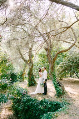 Gelin ve damat parktaki sarmaşıklarla kaplı ağaçların arasında sarılıyorlar. Damat buketi tutuyor. 