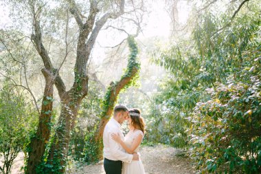 Gelin ve damat parkta sarmaşıkla kaplı ağaçların arasında sarılıyorlar.