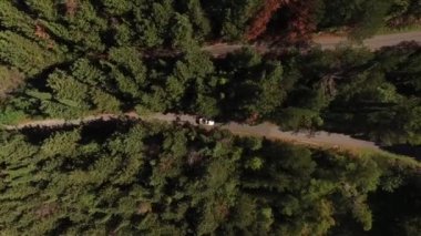 Beyaz üstü açık bir araba, Lovcen Dağı 'ndaki güzel bir dağ yılanı boyunca ilerliyor.