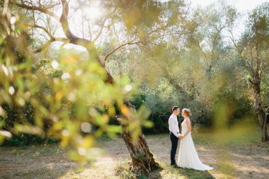 Gelin ve damat zeytin koruluğundaki ağaçların arasında durur, birbirlerine bakar ve el ele tutuşurlar. 