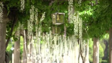 Çiçek açan bir sokak lambası rüzgarda sallanıyor. Bahar çiçeği arkaplanı.