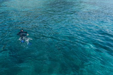 Dalgıç kıyafetli bir dalgıç, yüzgeçler ve yüzgeçli bir maske suyun yüzeyinde yüzer..