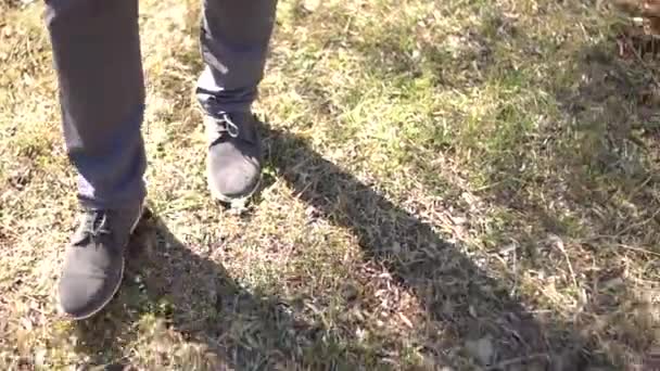 Piernas de un hombre caminando sobre la hierba, primer plano — Vídeo de stock