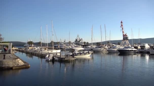 View of the Porto Montenegro marina in Tivat, yachts and boats at the pier, crane — Stock Video