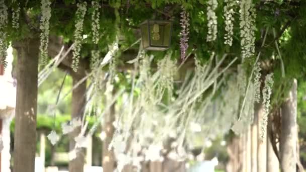 A street lamp in blooming wisteria sways in the wind. Spring floral background. — Stock Video