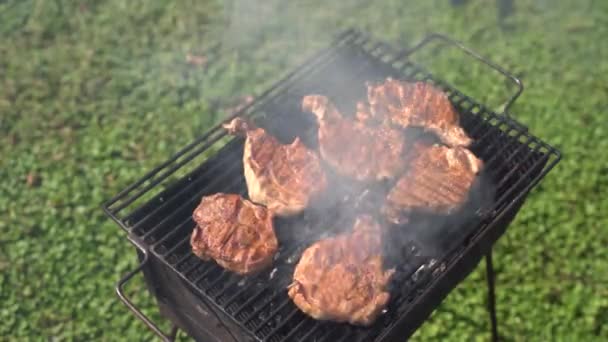 Le bistecche sono grigliate. Picnic in giardino. — Video Stock