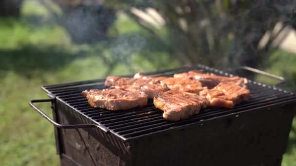 Los filetes se fríen en una parrilla de metal con humo. — Vídeos de Stock